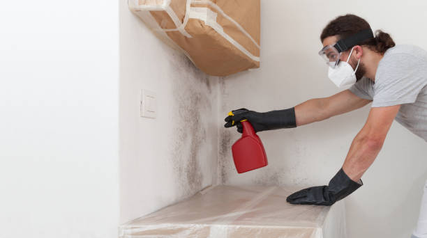 Professional Bathroom Mold Removal technician working in Jericho, NY